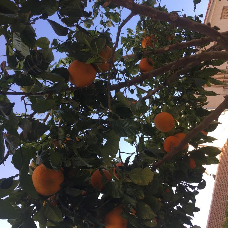 Appartamento Nietos